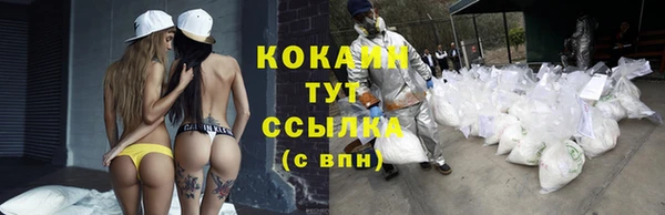 a pvp Богданович
