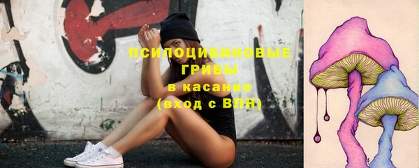 СК Богородицк