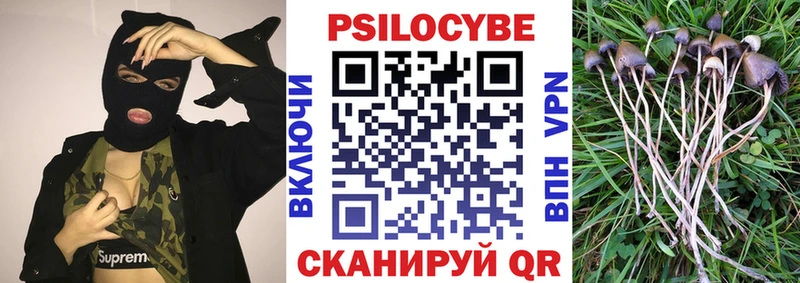 Галлюциногенные грибы мухоморы  Вязьма 