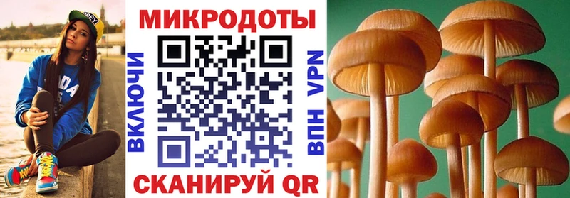 Псилоцибиновые грибы прущие грибы Вязьма